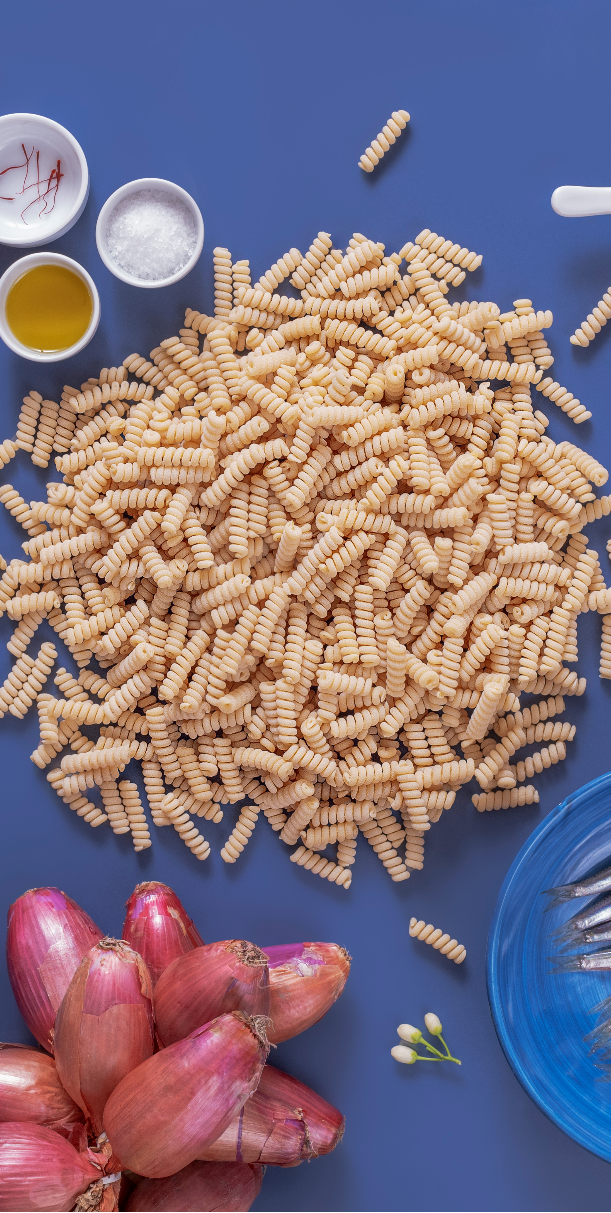 Fusilli Corti col Buco with sardines