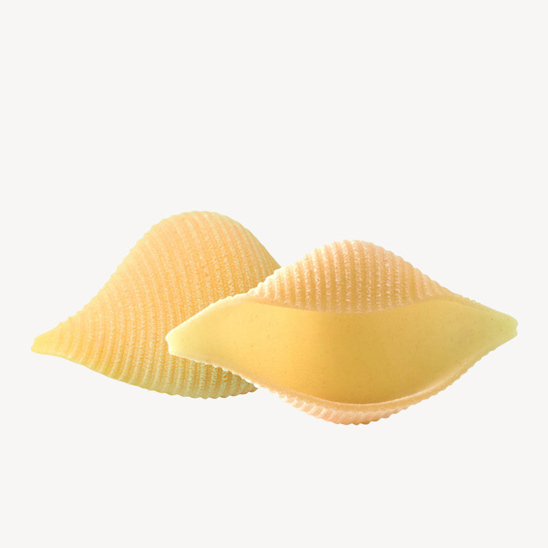 Conchiglioni Rigati