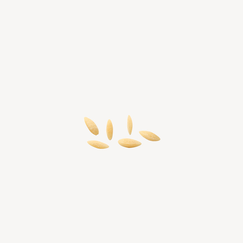 Orzo