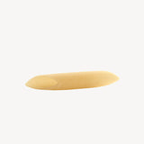 Penne Zitoni Lisce
